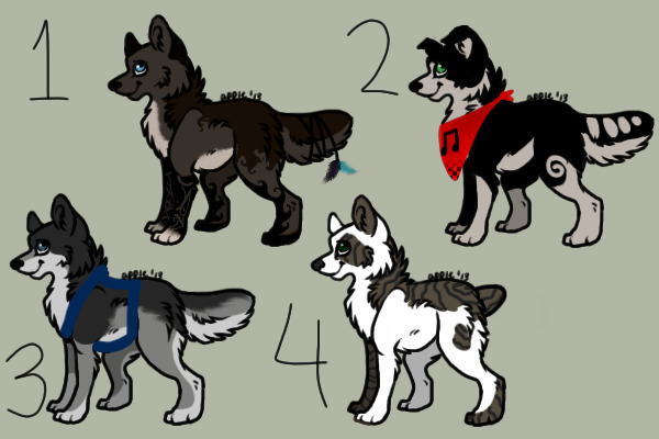 Auction Adoptables <3