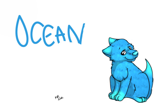 About Ocean