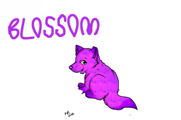 About Blossom