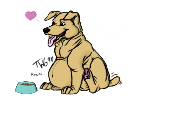 cute chubby doggy