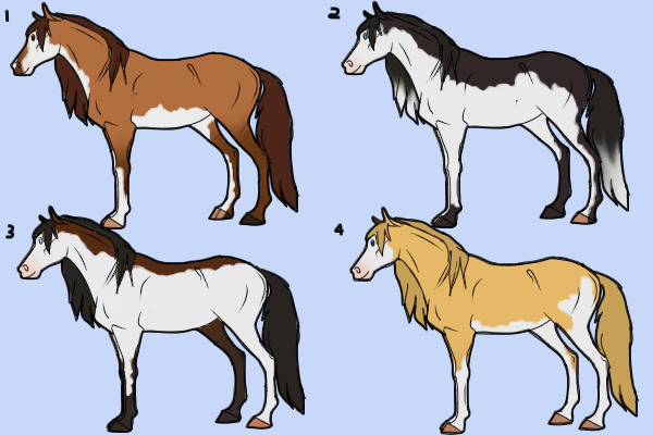 #12 Splash Set- All Taken