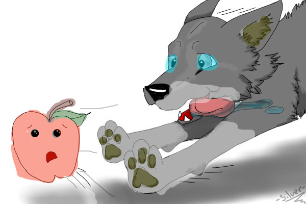 Wolf-dog vs apple!