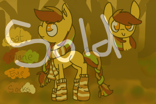Pony #19
