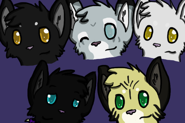 Favorite warrior cats