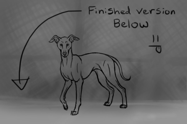 SS Artist Entry - Italian Greyhound