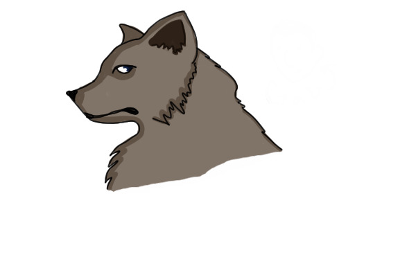 quick wolf drawing