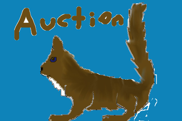 Cat up for Auction