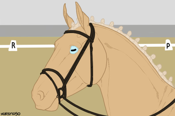 Palomino Dressage