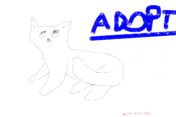 !!! Kitty Adoption Center - Free!