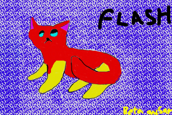 Flash - An Adopted Kitty (Owner - Beta and Sam)
