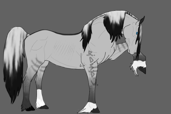 Grullo Horse