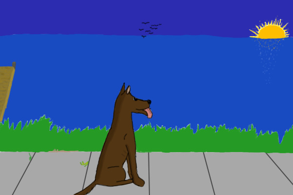 Dog's Sunset