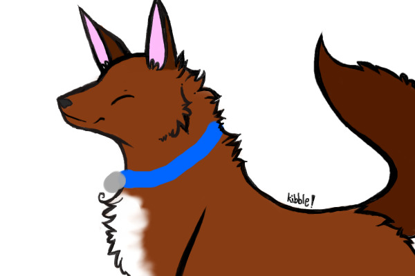 Lucky X Phuc's Puppy (Wearing her blue collar)