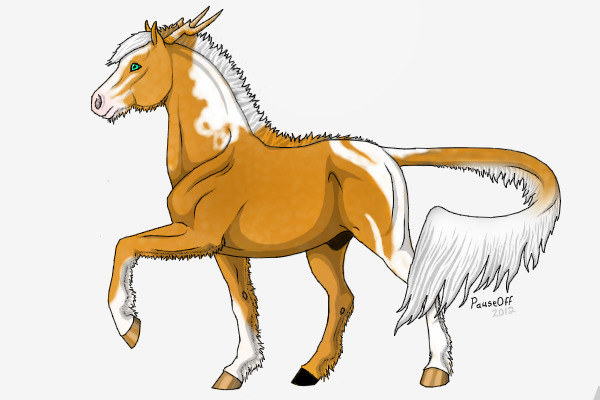 WTE #289 - Dappled Palomino Paint