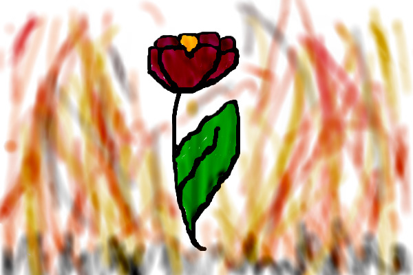 Burning rose.