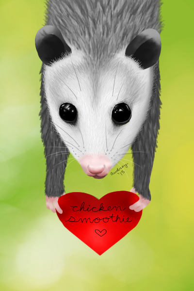 CS Opossum Love