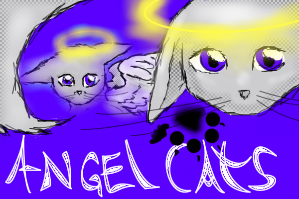 Angel Cats Adopt