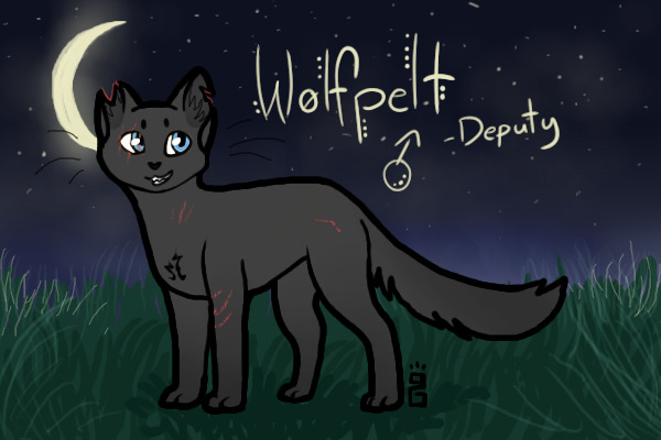 Wolfpelt - my first RP character