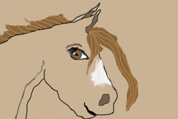 Horse realism