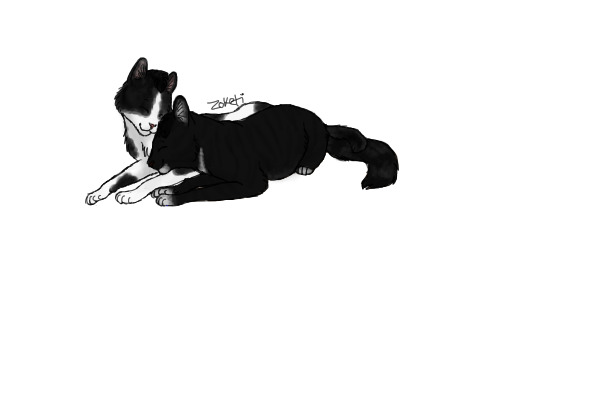 Patch x Crow