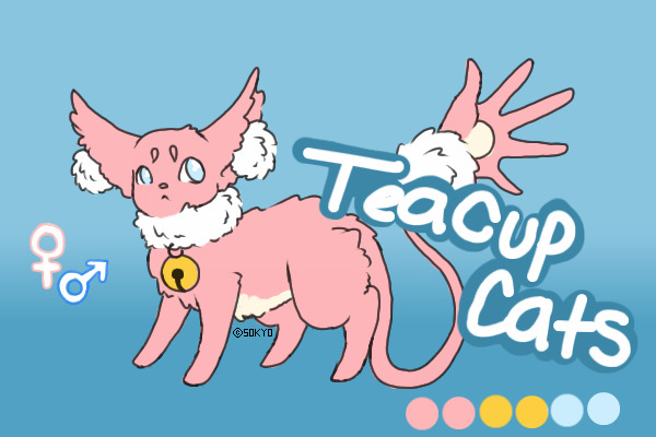 Teacup Cats [MOVED]