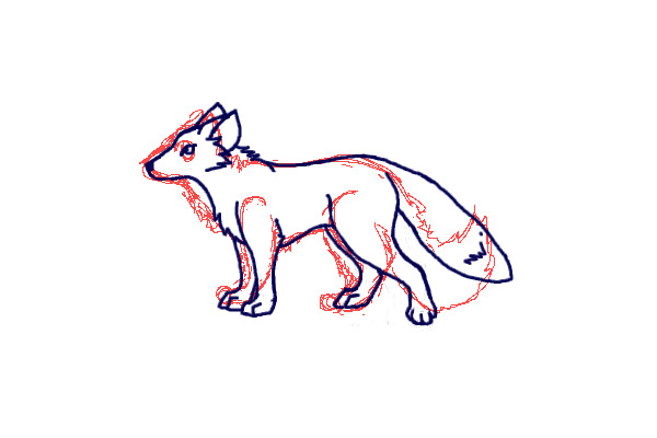 Bluelined fox