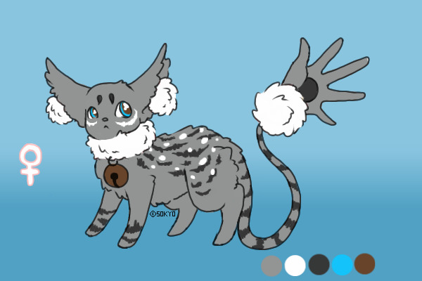 Teacup Cat #5