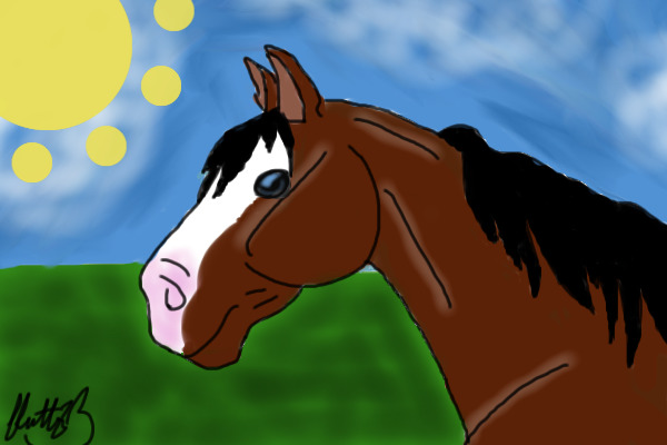 Horse enoying meadow
