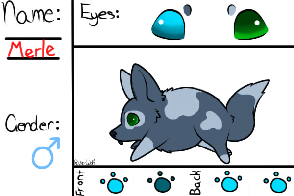 Chubbley Pup #4