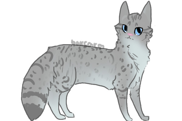 Speckledpaw Reference