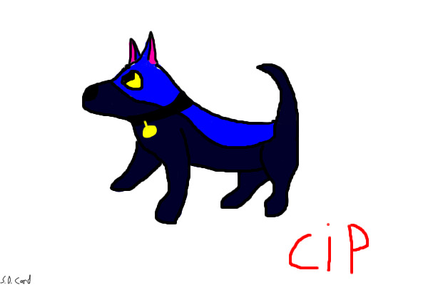 Cip