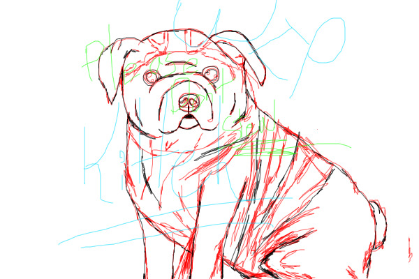 WIP BullDog Sketch