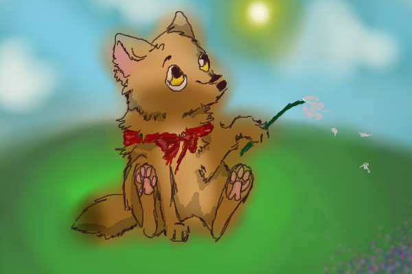 Dandelions and Sunshine