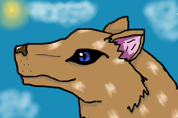Contest Entry Wolf