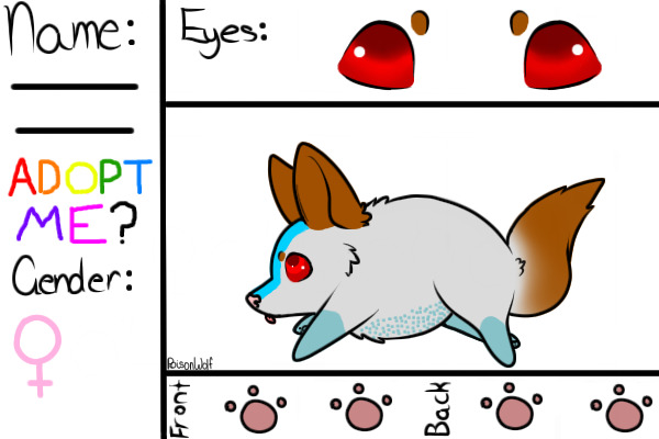 Chubbley Pup #9