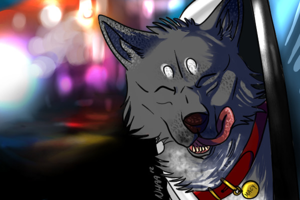 Doggeh