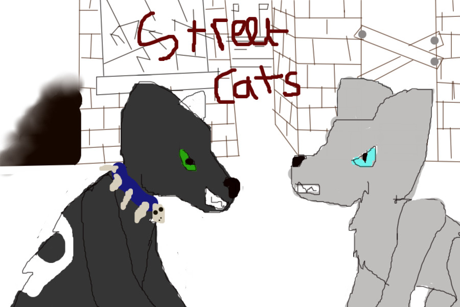 street cats the remake cover