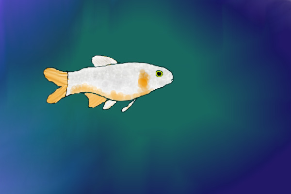 Its a fish