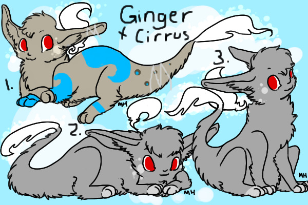 Ginger x Cirrus
