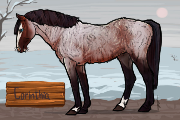 SM #57 Staz's foal