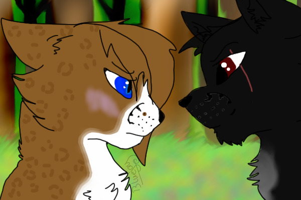 GingerKit and ShadowPaw