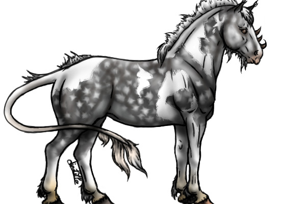 Guest artist comp entry