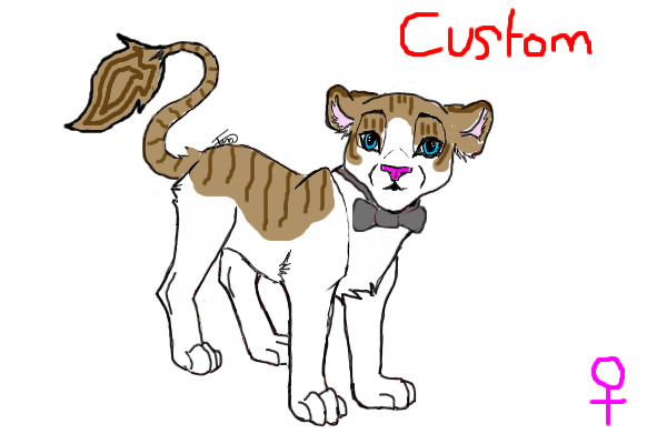 Custom For AmbitiousSphynxcat