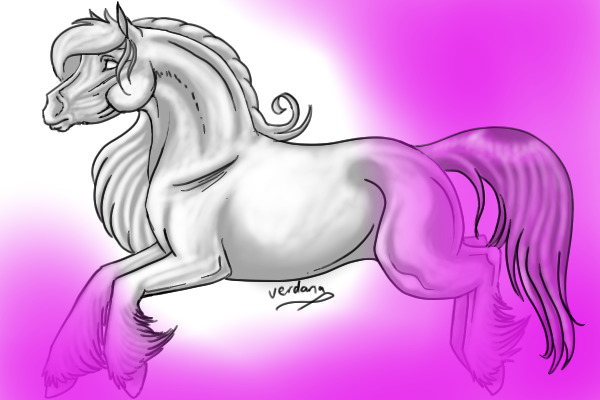 Horse Competition! **Prizes**