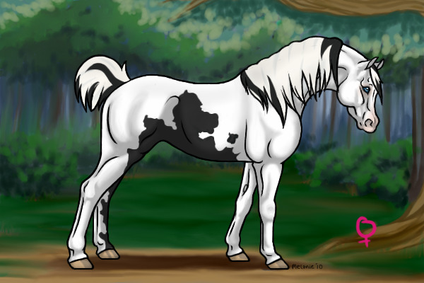 New Character: Dreamer