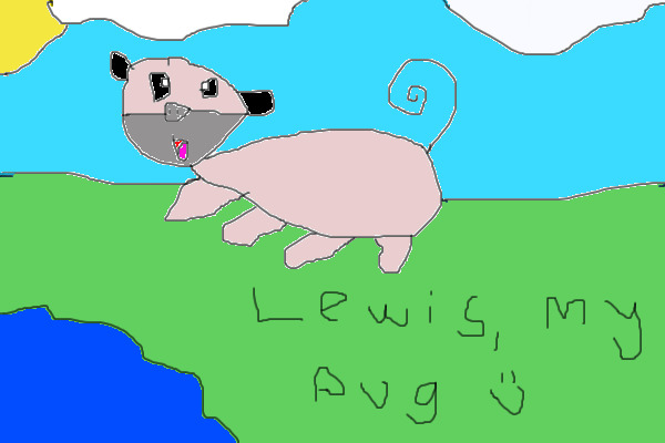 Lewis, my pug