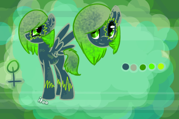 Pegasus pony character