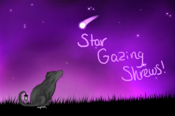 Star Gazing Shrews!