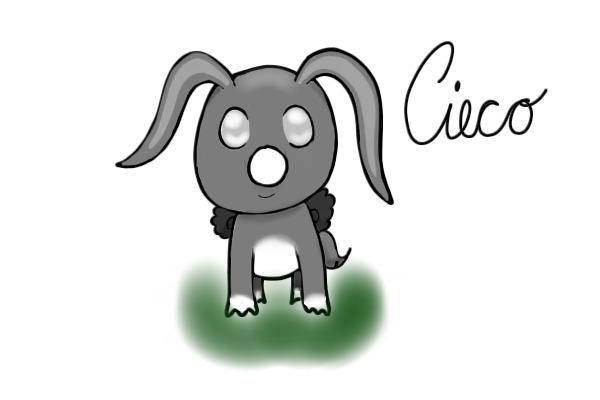 Cieco
