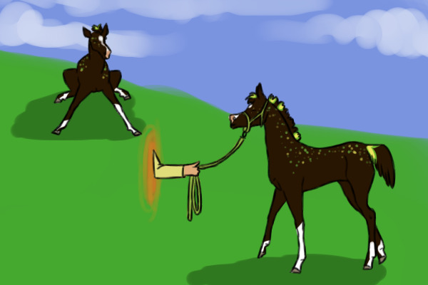 Portal animation part 1